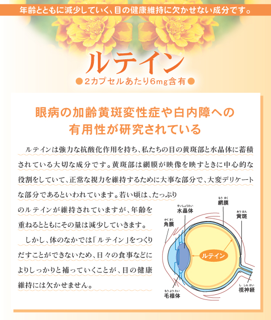 ルテイン