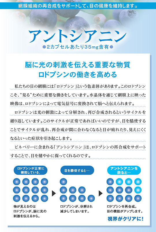 アントシアニン
