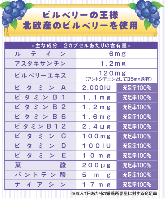 北欧産のビルベリー