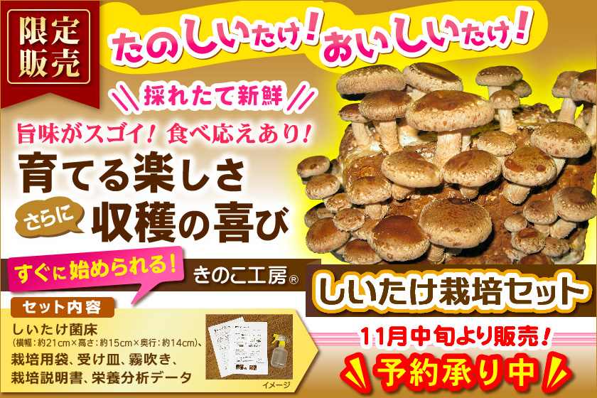 しいたけ栽培セット