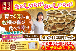 しいたけ栽培セット