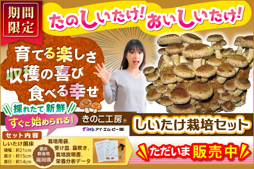 しいたけ栽培セット